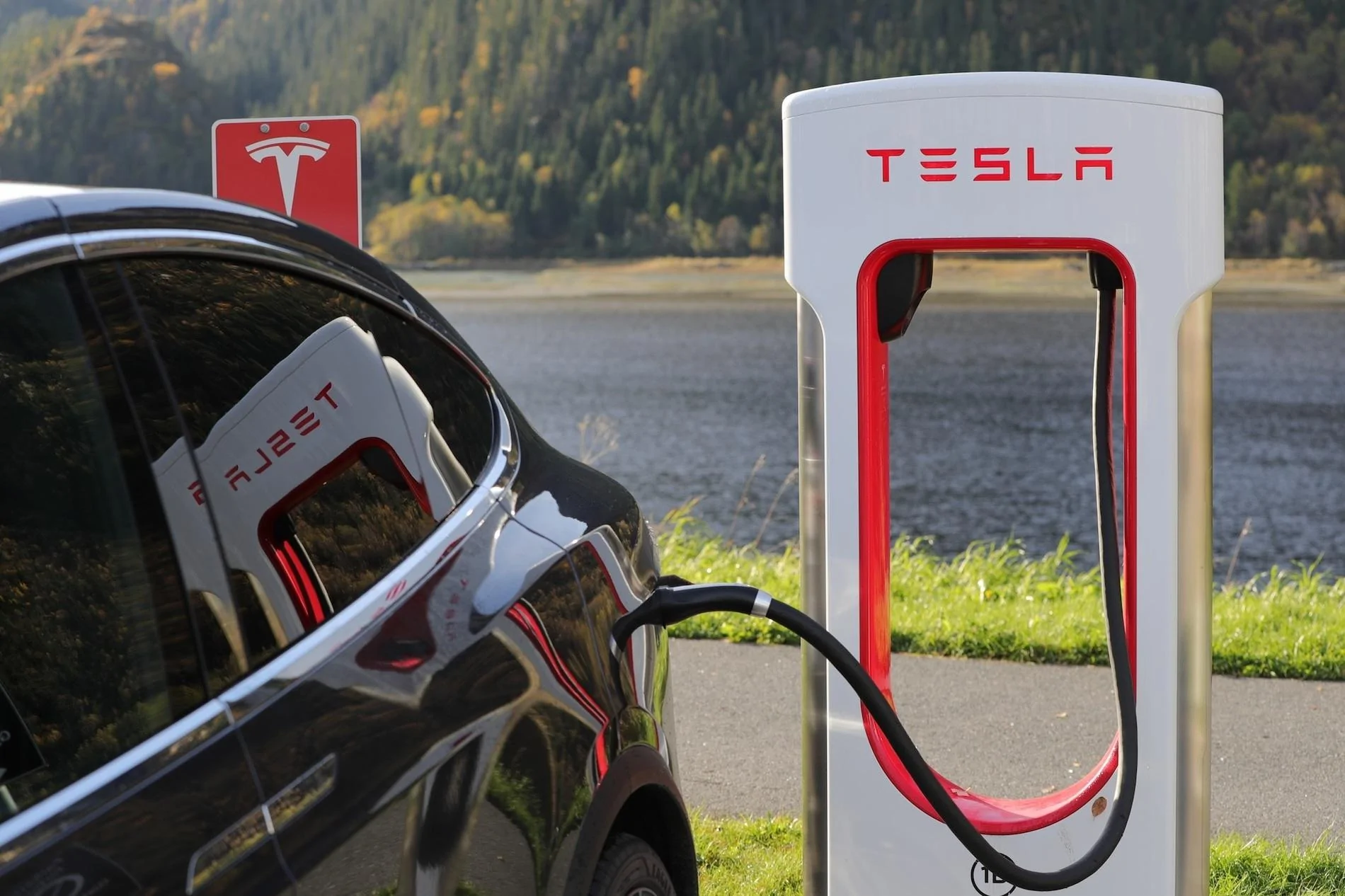 Tesla Cybertruck Article: Tesla’s business strategy is not chaotic – it’s brilliant file-20191118-66925-gb3jjl