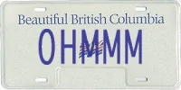 Tesla Cybertruck Custom license plate / vanity plate name for your Cybertruck? license_20200117155245_42217