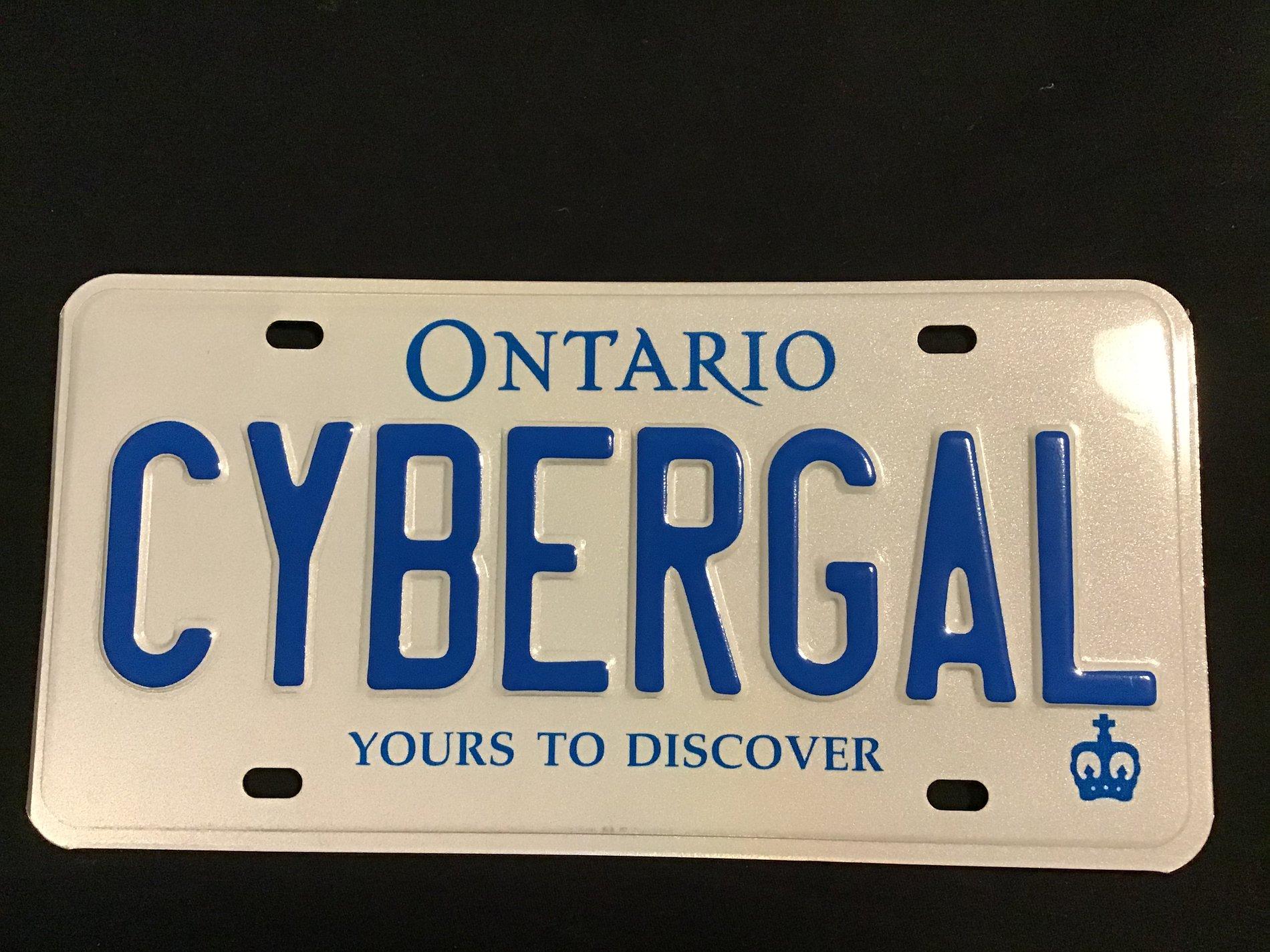 Tesla Cybertruck Custom license plate / vanity plate name for your Cybertruck? D39C76C4-4868-46B9-8933-480B855501BA