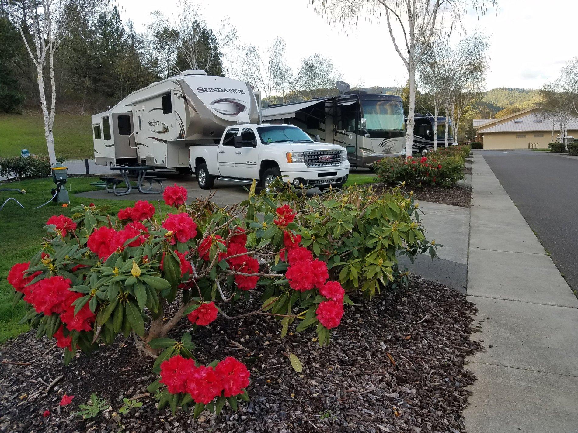 Tesla Cybertruck Petition Elon for Dually 20190412_185525