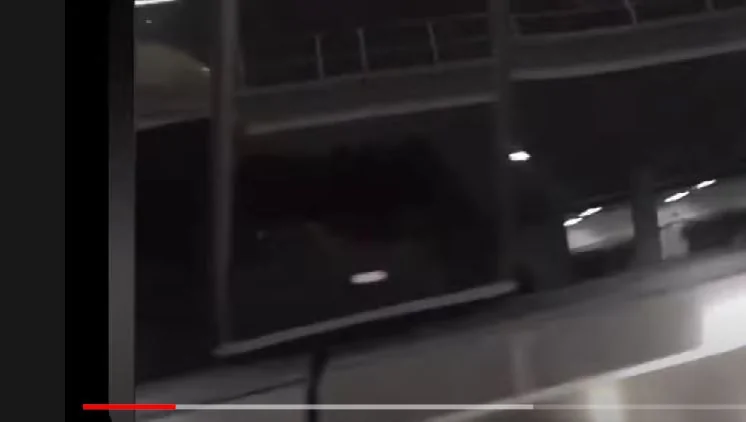 Tesla Cybertruck Cybertruck Photos Leaked! ? [Added: Video Showing Whole Truck -- Rear & Bed] driver sid