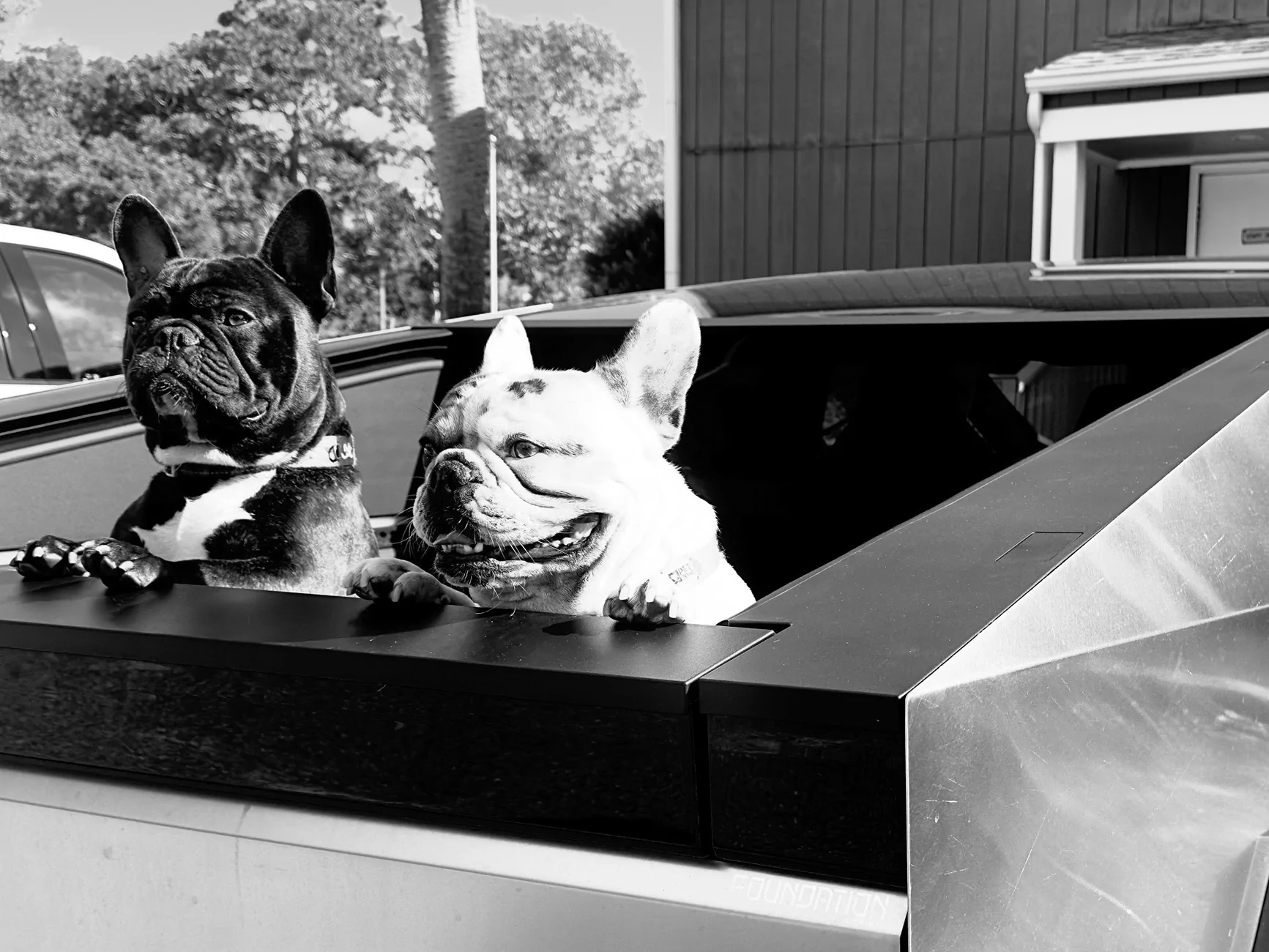 Tesla Cybertruck Cybertruck is awesome for Dogs GxyRKjxWkAA1T7T