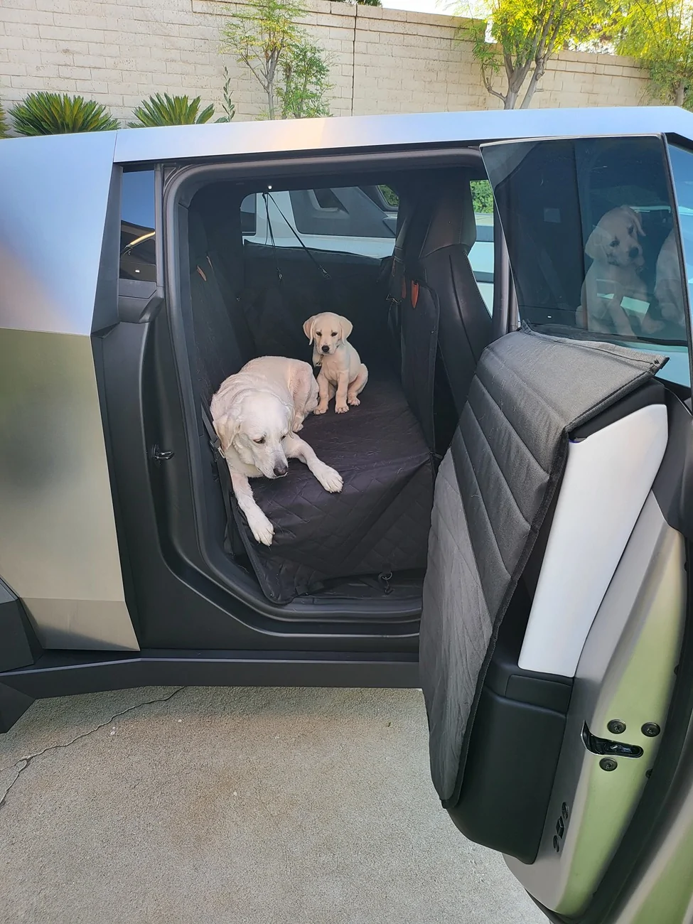 Tesla Cybertruck Back seat dog hammock - recommendations? 20240722_071603