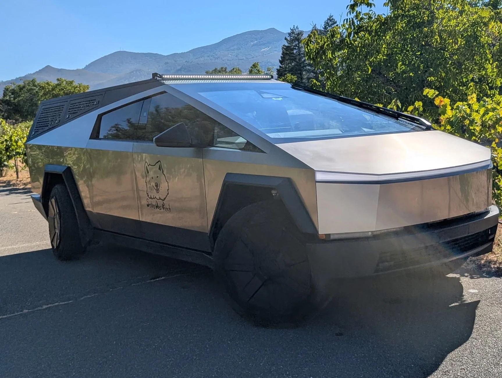 Tesla Cybertruck Urander Rack Mega Thread – Post Your Setup! IMG_0484