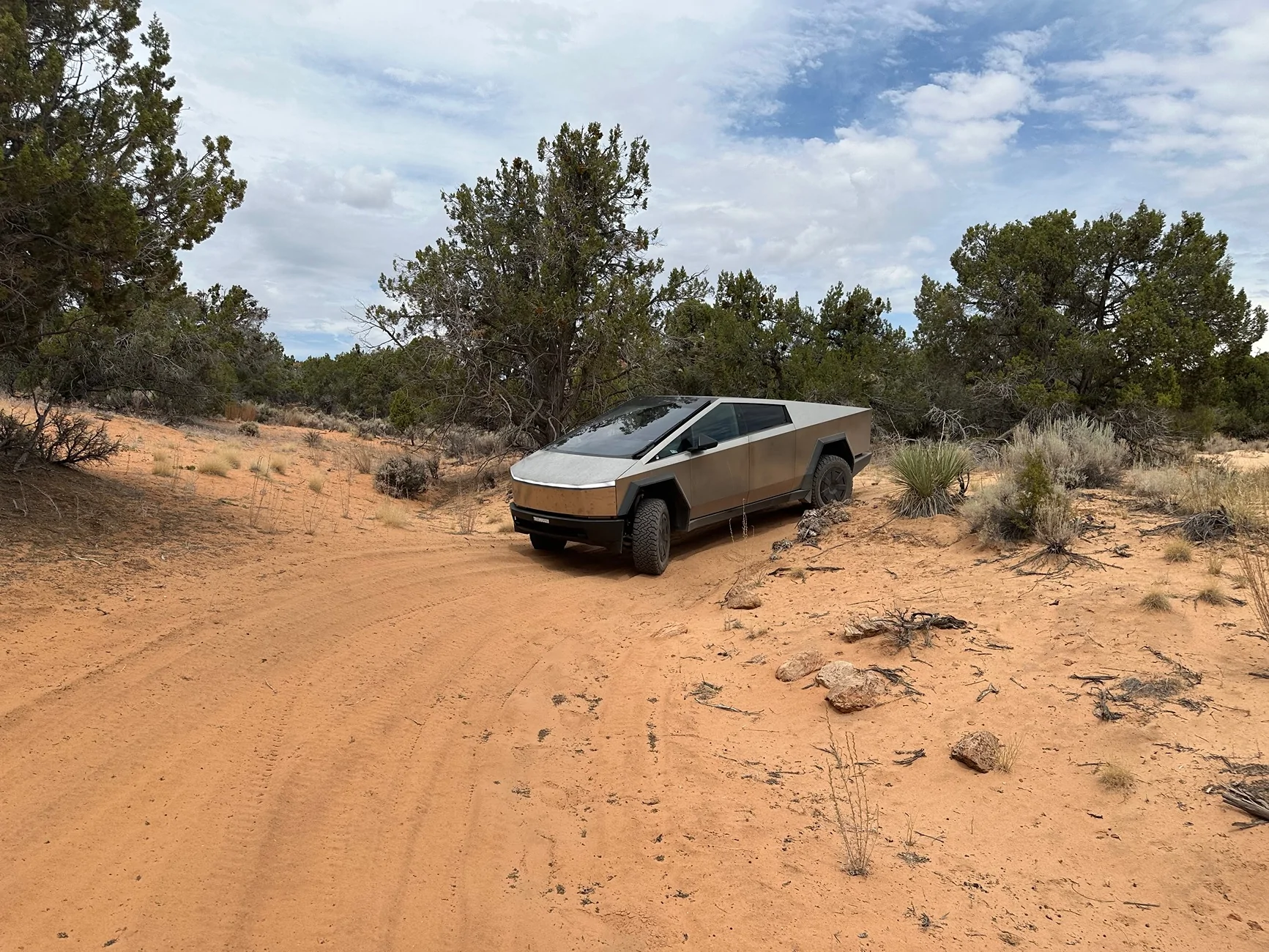 Tesla Cybertruck Daily random Cybertruck photos thread - Post Yours! 📸 🤳 IMG_2394