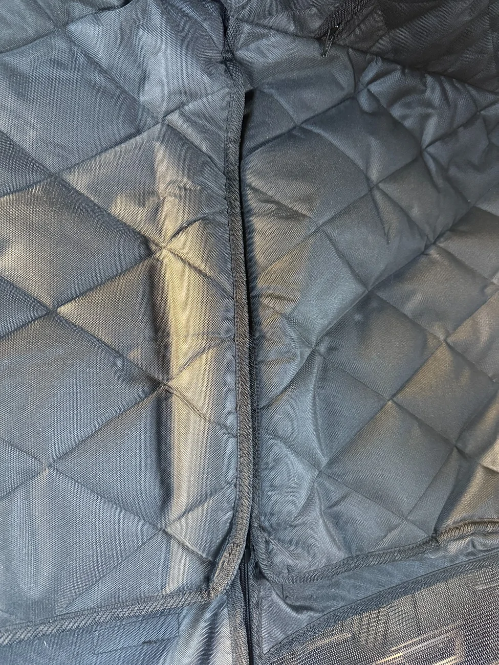 Tesla Cybertruck Near Perfect Rear Seat Liners for CT Owners with Kids IMG_3259