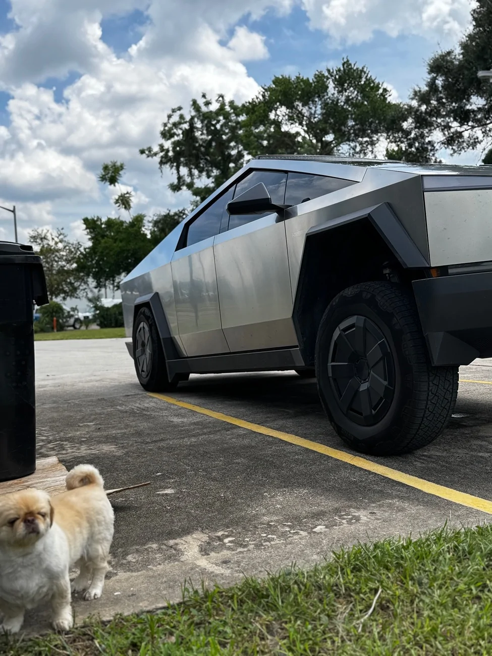 Tesla Cybertruck Secret squat mode.Legit or BS? IMG_3598
