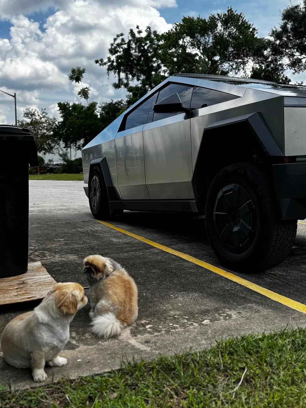 Tesla Cybertruck Secret squat mode.Legit or BS? IMG_3602