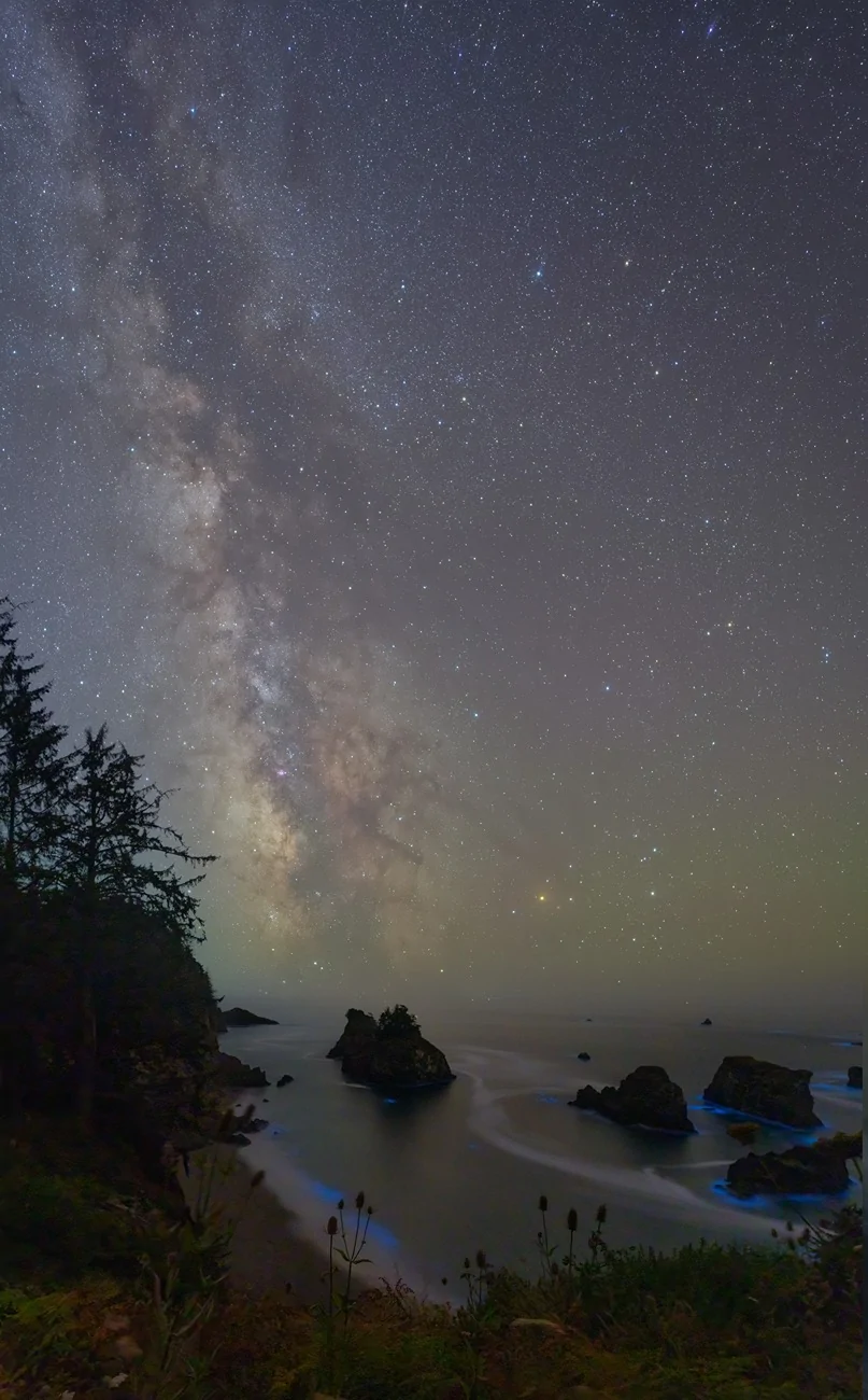 Discussion: What Features Do You Think Are Missing From the Cybertruck ...