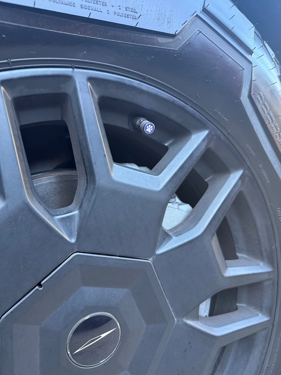 Tesla Cybertruck Show us an accessory we’ve never seen before! MFZ Challenge thread. IMG_6214