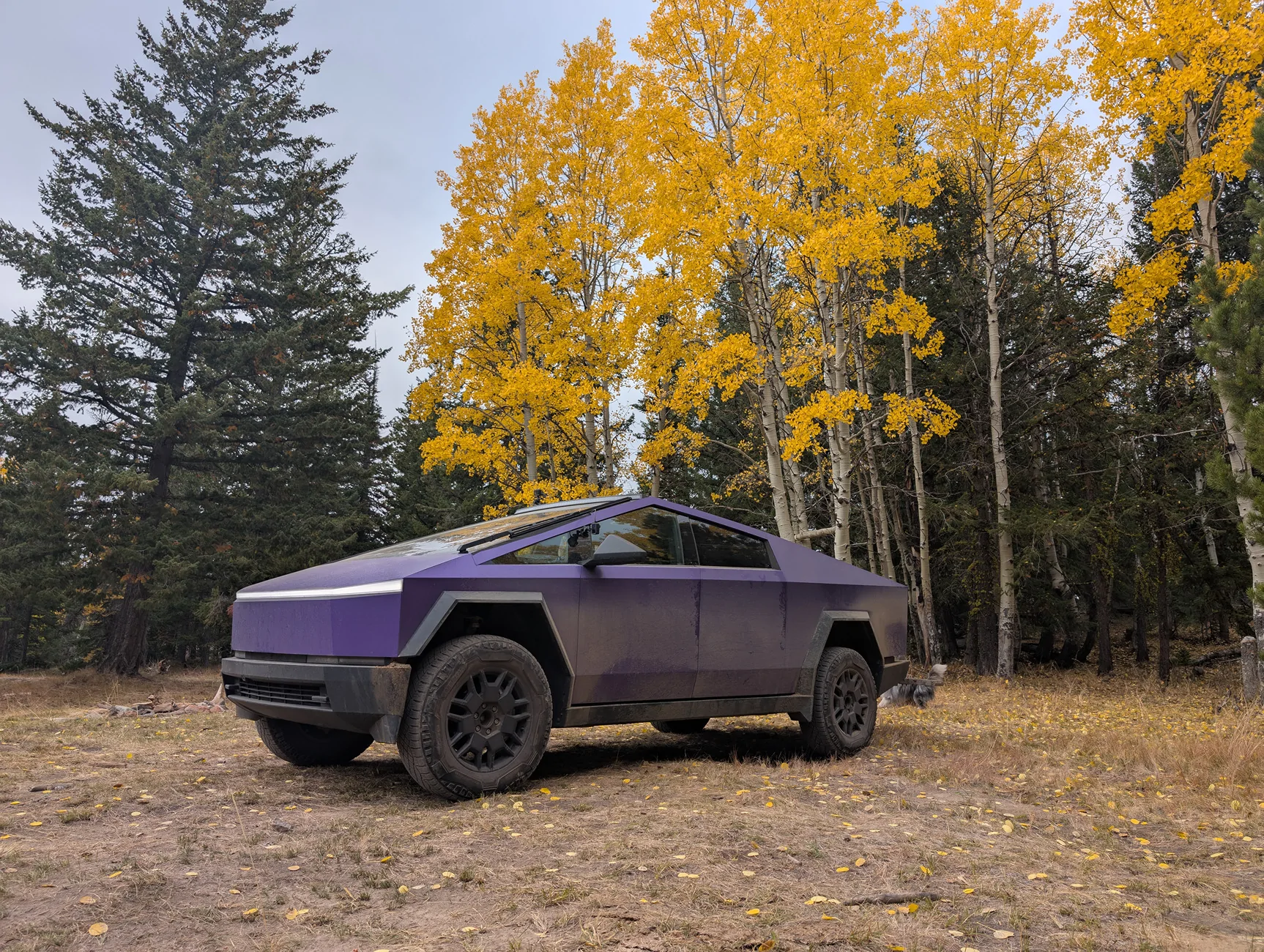 Tesla Cybertruck Cybertruck Adventure Log: Trying to Be the First (documented?) EV Through the WA-BDR PXL_20251011_210828985