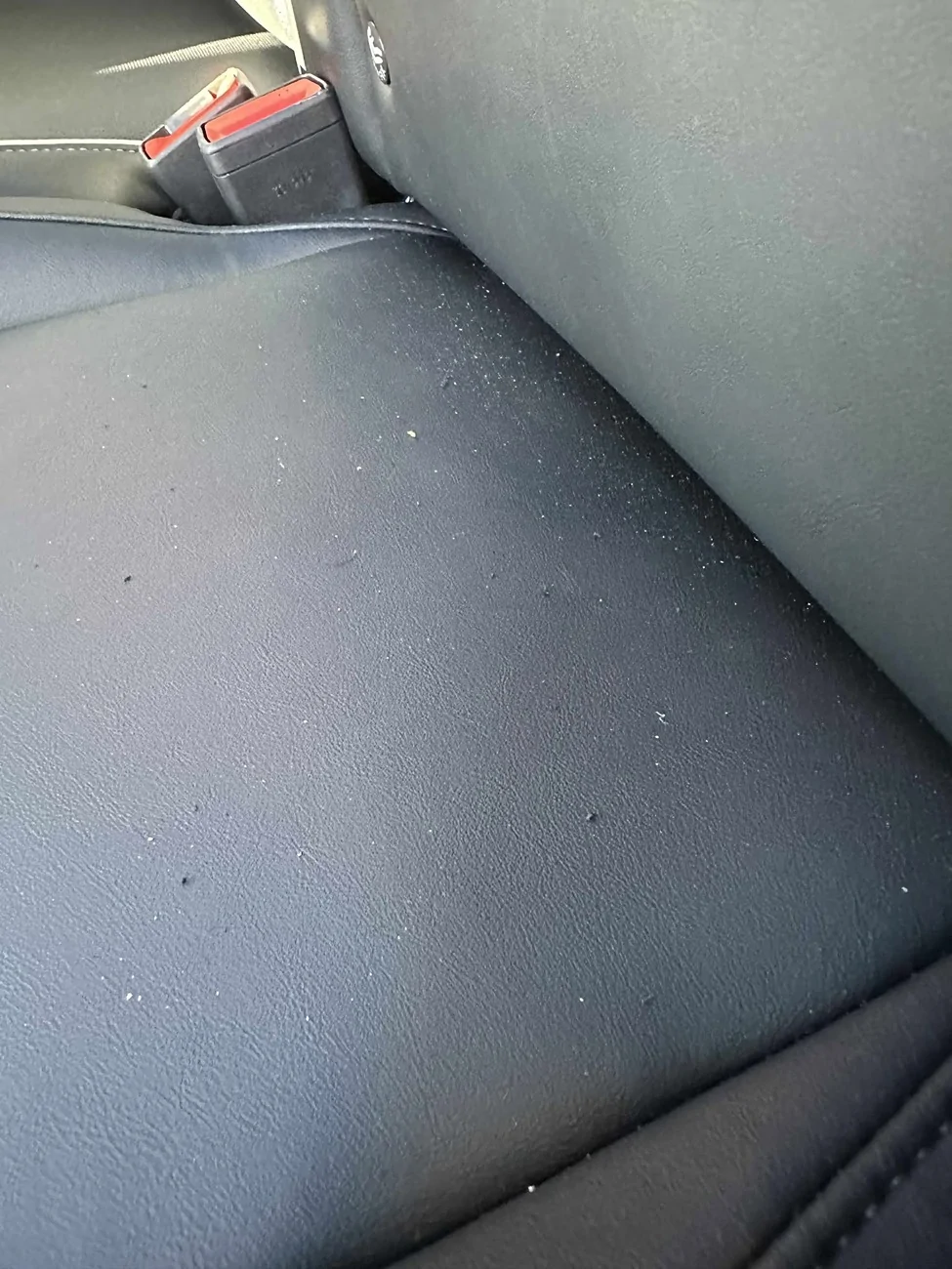 Tesla Cybertruck Eatonsville: Service Center, Came for repairs, left with Damage. Sigh. 568198267_1610137053307755_7366025724779662919_n