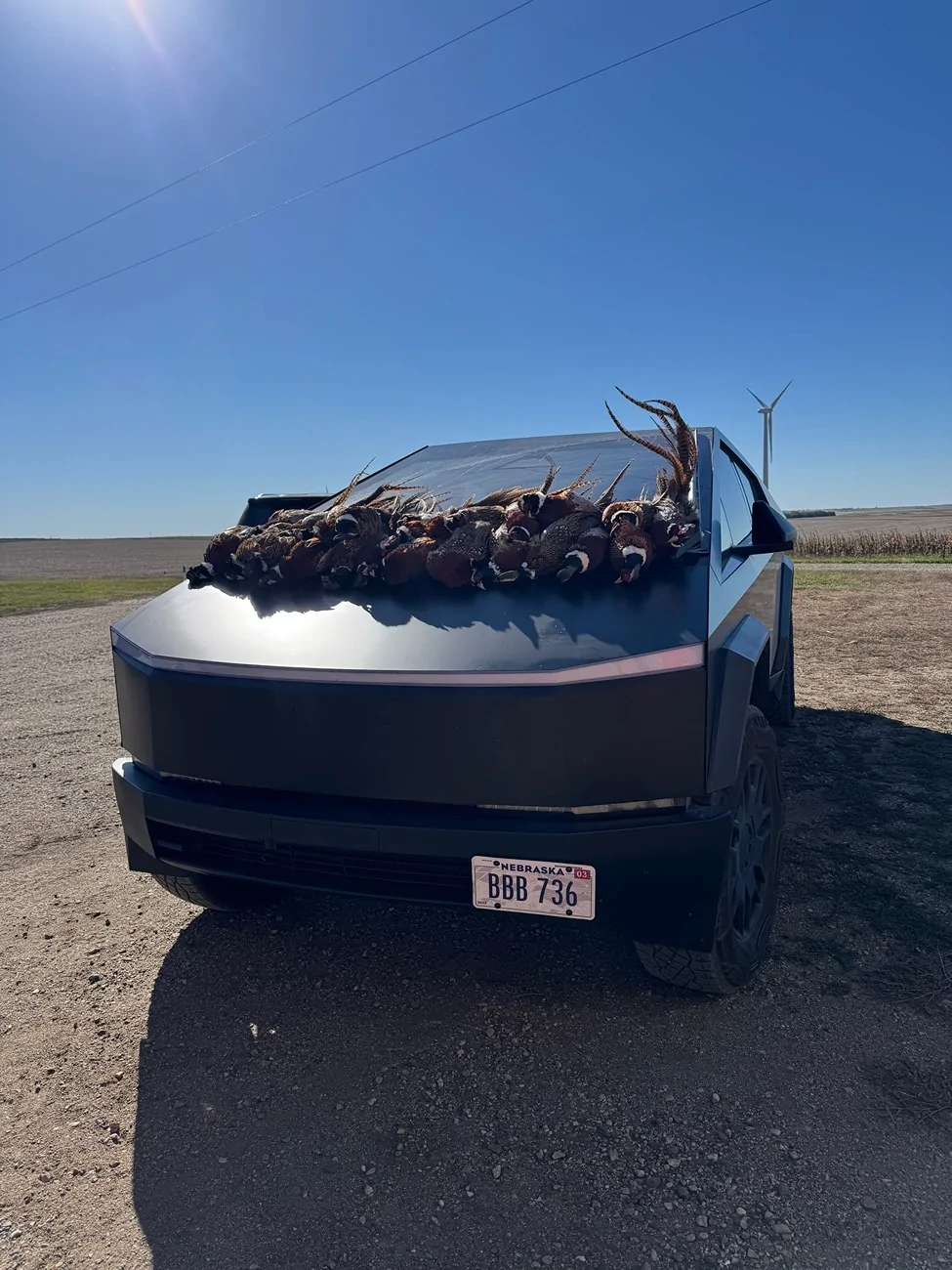 Tesla Cybertruck Daily random Cybertruck photos thread - Post Yours! 📸 🤳 IMG_4314