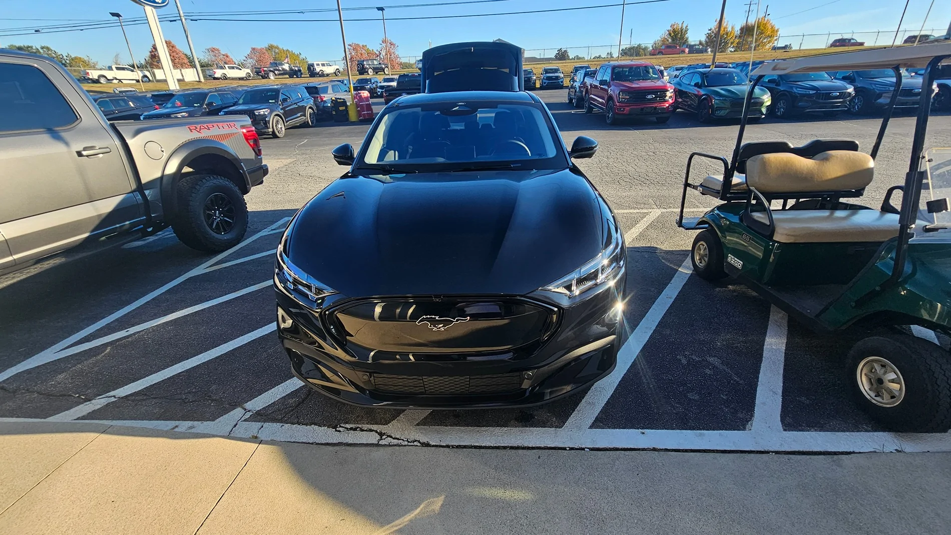 Tesla Cybertruck Help me sell my wife on a Tesla Model Y 20251105_162011