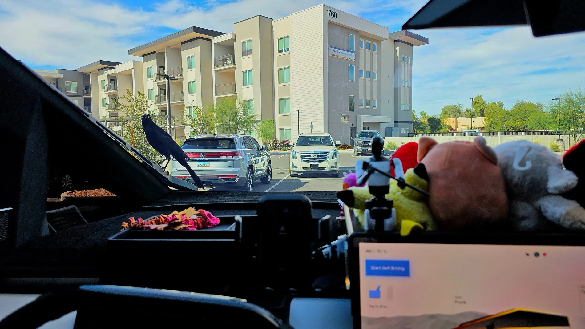 Tesla Cybertruck Daily random Cybertruck photos thread - Post Yours! 📸 🤳 20251115_124132