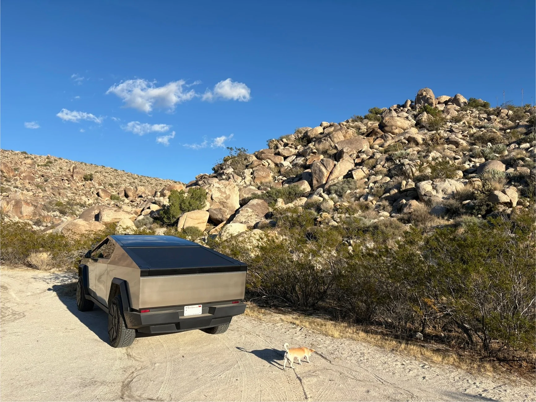 Tesla Cybertruck Daily random Cybertruck photos thread - Post Yours! 📸 🤳 IMG_7933