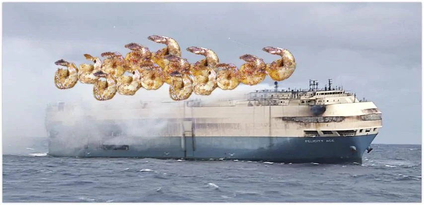 Tesla Cybertruck Ship carrying EVs burning out of control Shrimp on barbi
