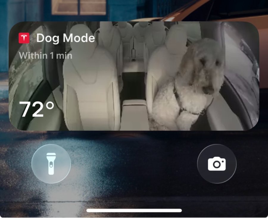 Tesla Cybertruck Tesla App v4.51.5 adds: Find My Car Locator Arrow, Charging Passport, Dog Mode Live View, Dashcam Tab, Photo Booth, Visualizer Upgrade img_5114