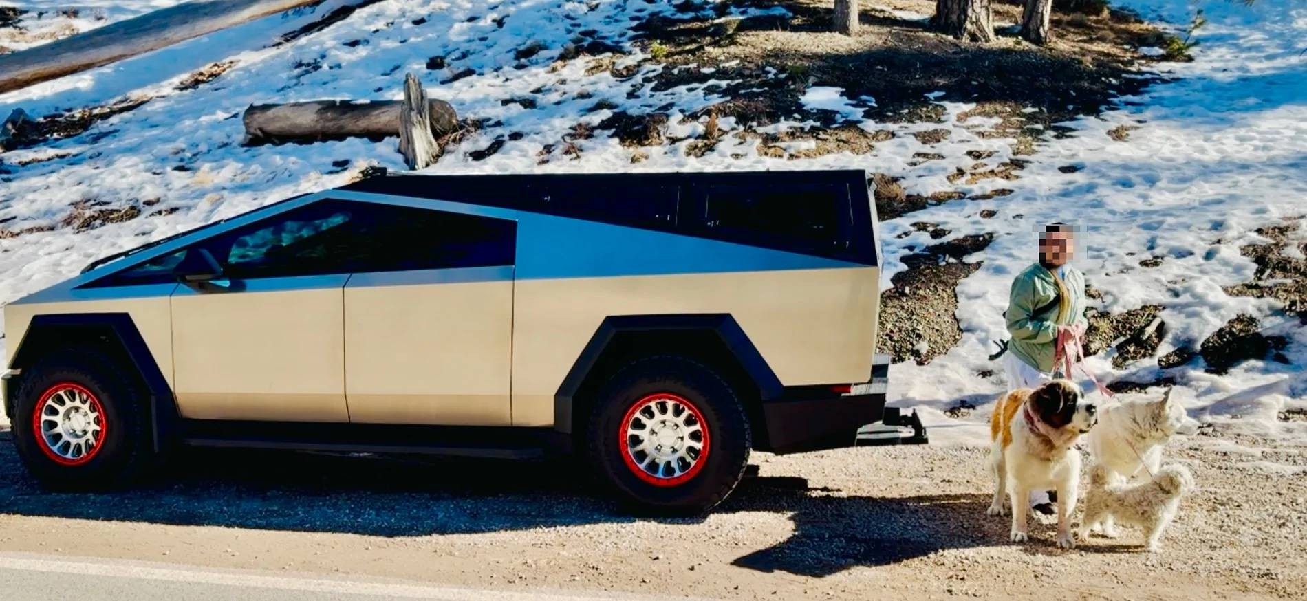 Tesla Cybertruck Urander Rack Mega Thread – Post Your Setup! IMG_9932