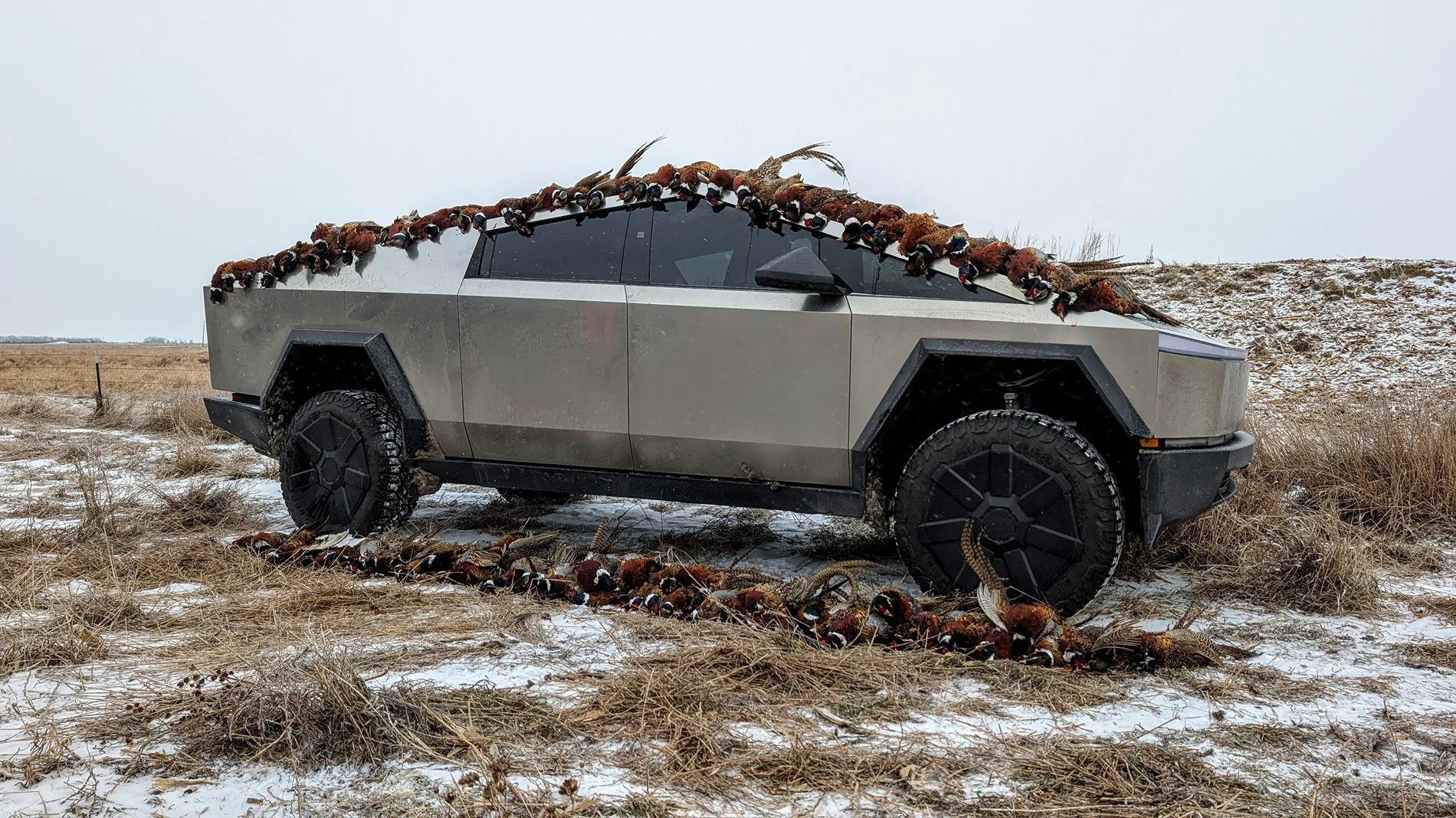 Tesla Cybertruck Chargepoint CCS1 reliability during winter road-trip through rural Nebraska? PXL_20251212_193433201~2