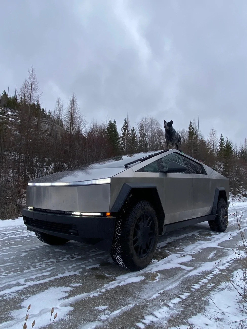 Tesla Cybertruck Daily random Cybertruck photos thread - Post Yours! 📸 🤳 IMG_6722
