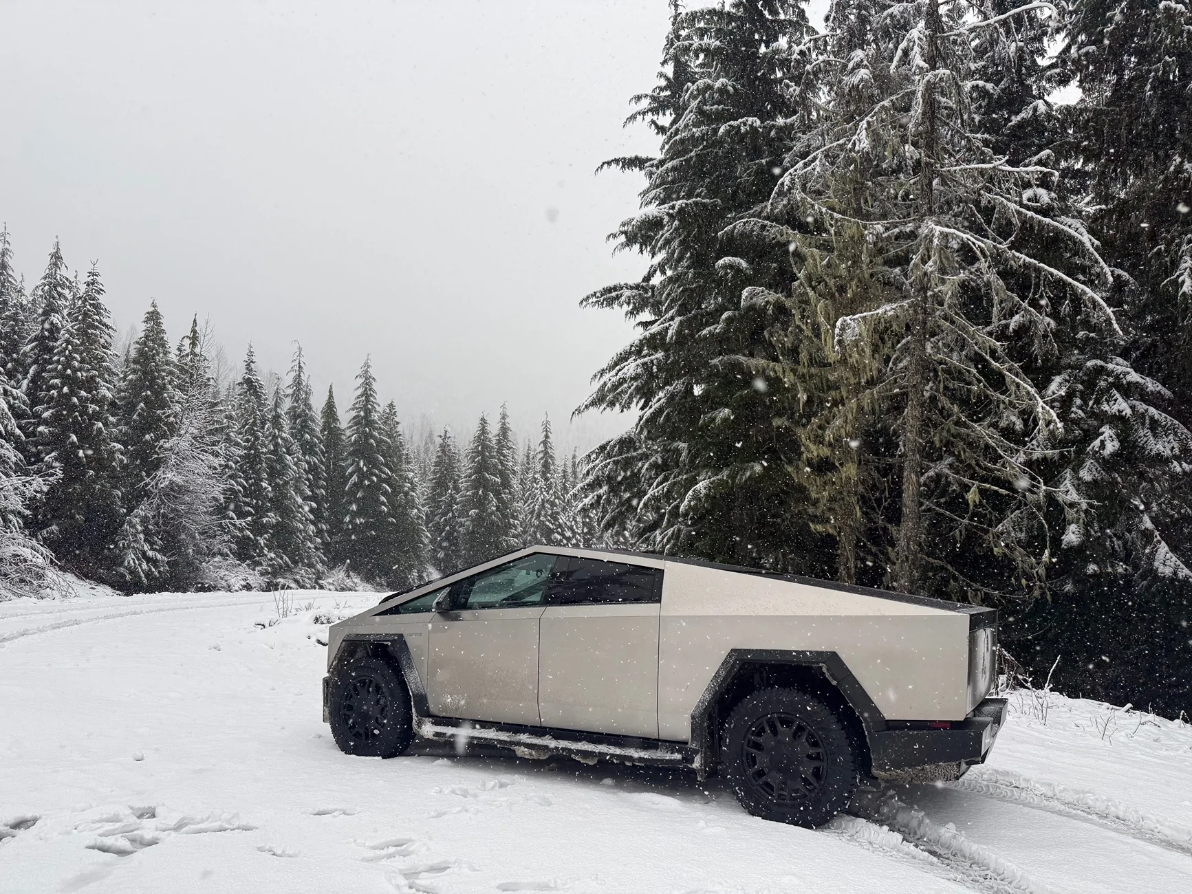 Tesla Cybertruck Daily random Cybertruck photos thread - Post Yours! 📸 🤳 IMG_3478