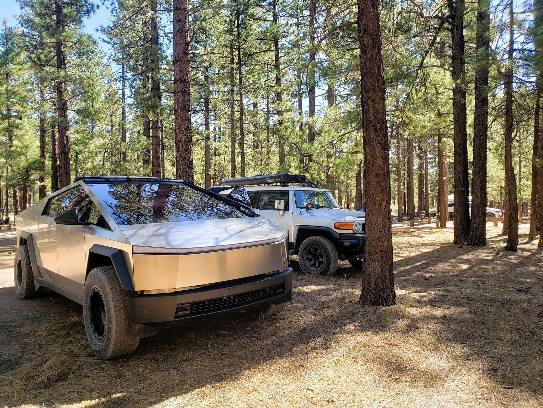 Tesla Cybertruck 🚀 Giveaway – T-Launch Starlink Mini Power Stand (Teslaunch) bb trees