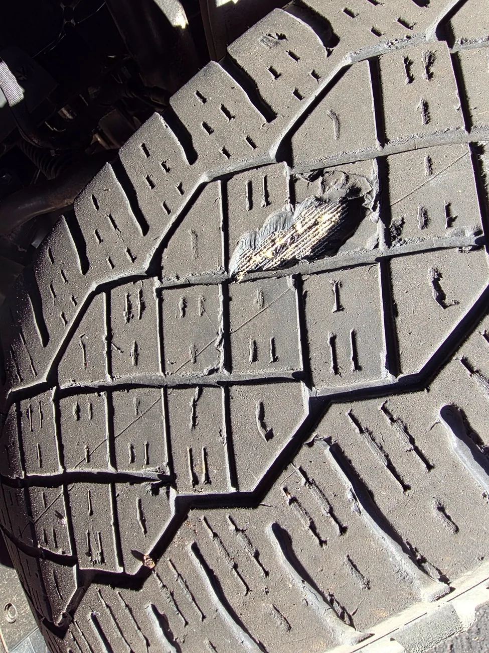 Tesla Cybertruck Excessive Tire Wear on Cybertruck Dual Motor 20251219_101006