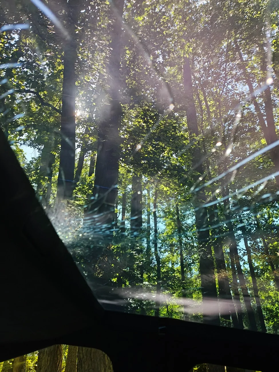 Tesla Cybertruck Are the windows stronger than normal windows IMG_20250714_101342965_HDR