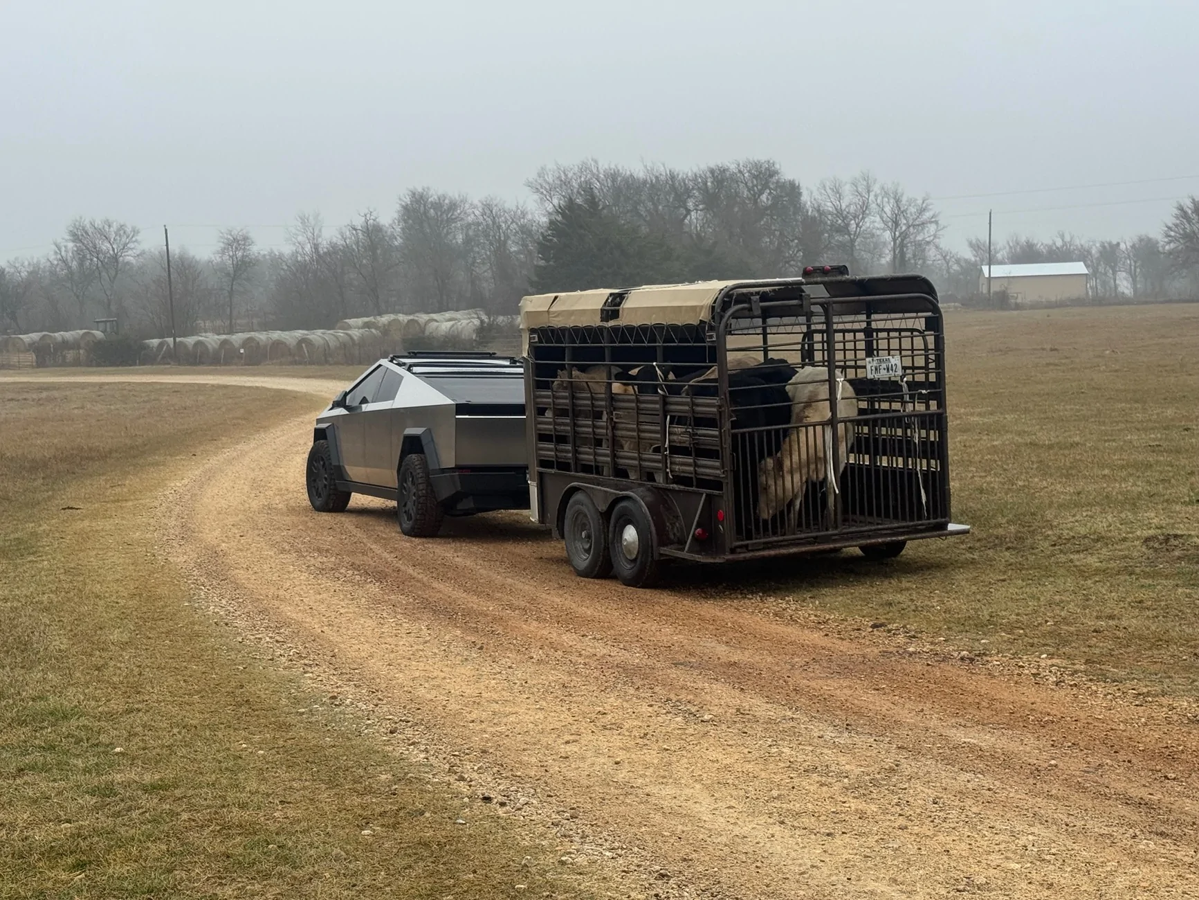 Tesla Cybertruck What Are You Hauling in your Cybertruck? 🦾 👷‍♂️ IMG_4778