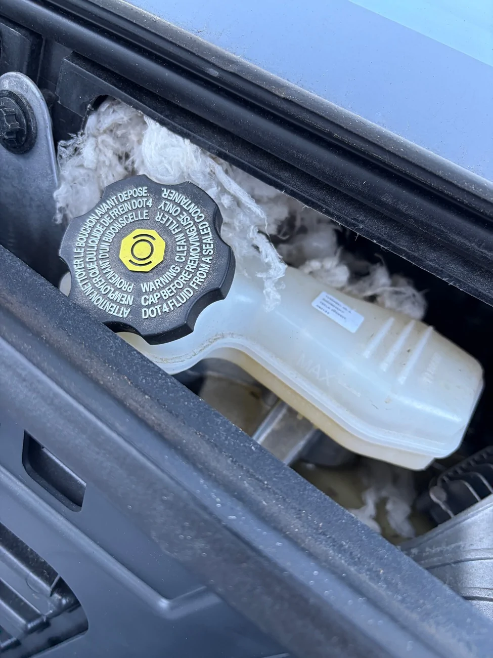 Tesla Cybertruck Rodent damage - any ideas or tricks to prevent? IMG_1050