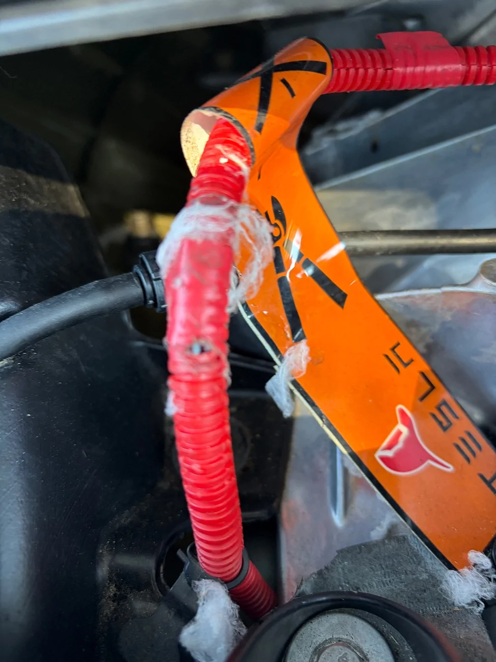 Tesla Cybertruck Rodent damage - any ideas or tricks to prevent? IMG_1049