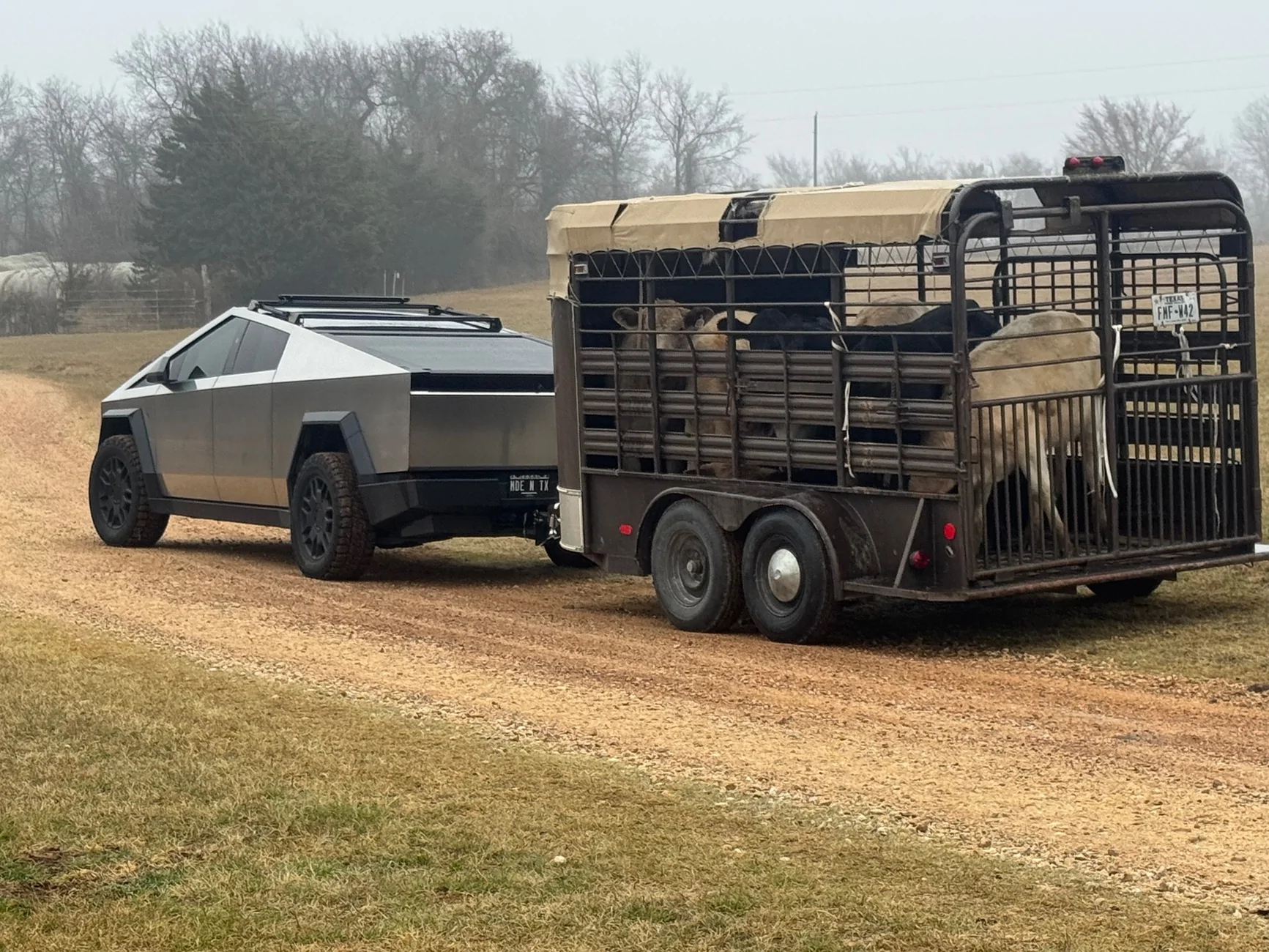 Tesla Cybertruck 🦾 Cybertruck doing truck stuff!  Post your photos! IMG_4779