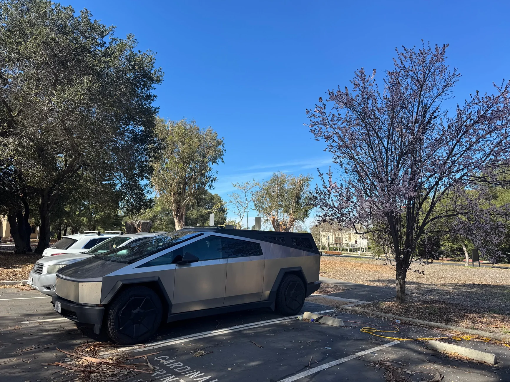 Tesla Cybertruck Urander Bed Cap + Urander SkyLounge IMG_2788