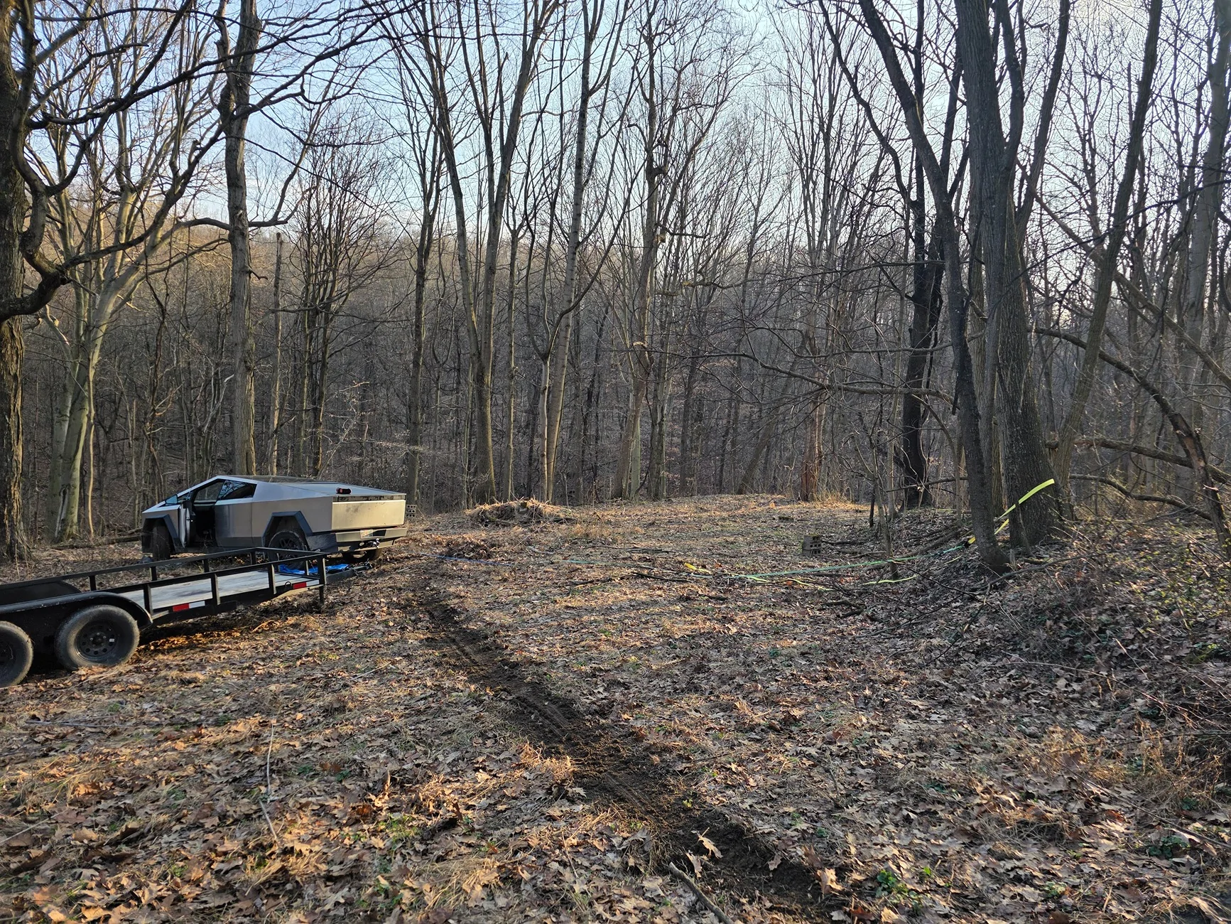 Tesla Cybertruck Into the woods. 1000004430