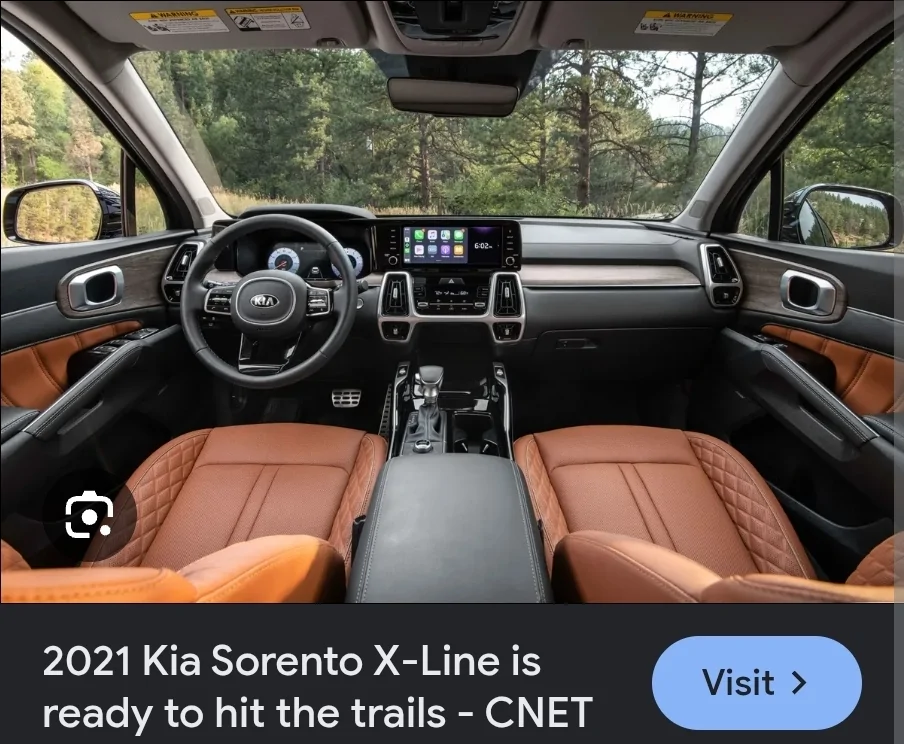 Tesla Cybertruck Brown seat covers? Screenshot_20260311_110656_Chrom
