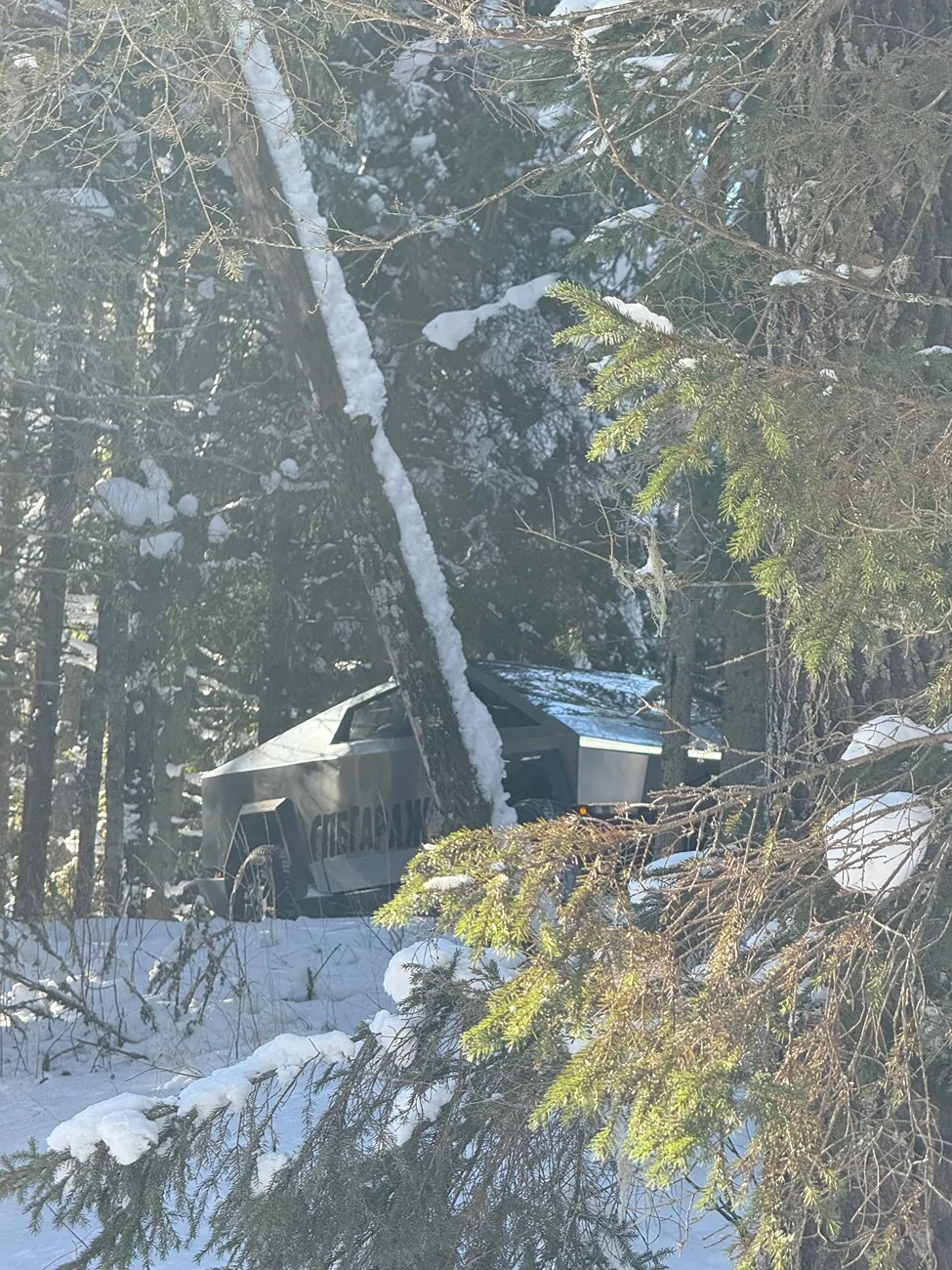 Tesla Cybertruck A winter trip to the forest at -23 degrees in the best truck! photo_2026-03-12_16-57-28