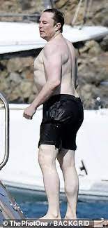 Tesla Cybertruck ELON! SHOW ME YOUR ASS!!! Reality