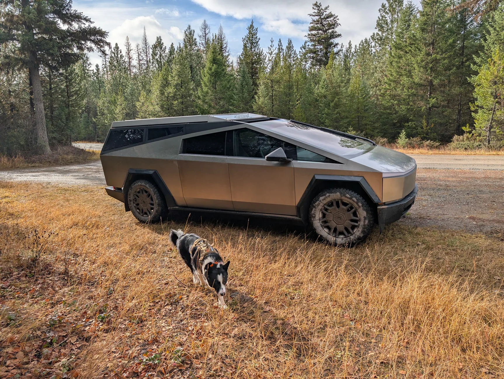 Tesla Cybertruck CYBERTRUCK Co Roof Top Camper System PXL_20251112_192455783.RAW-01