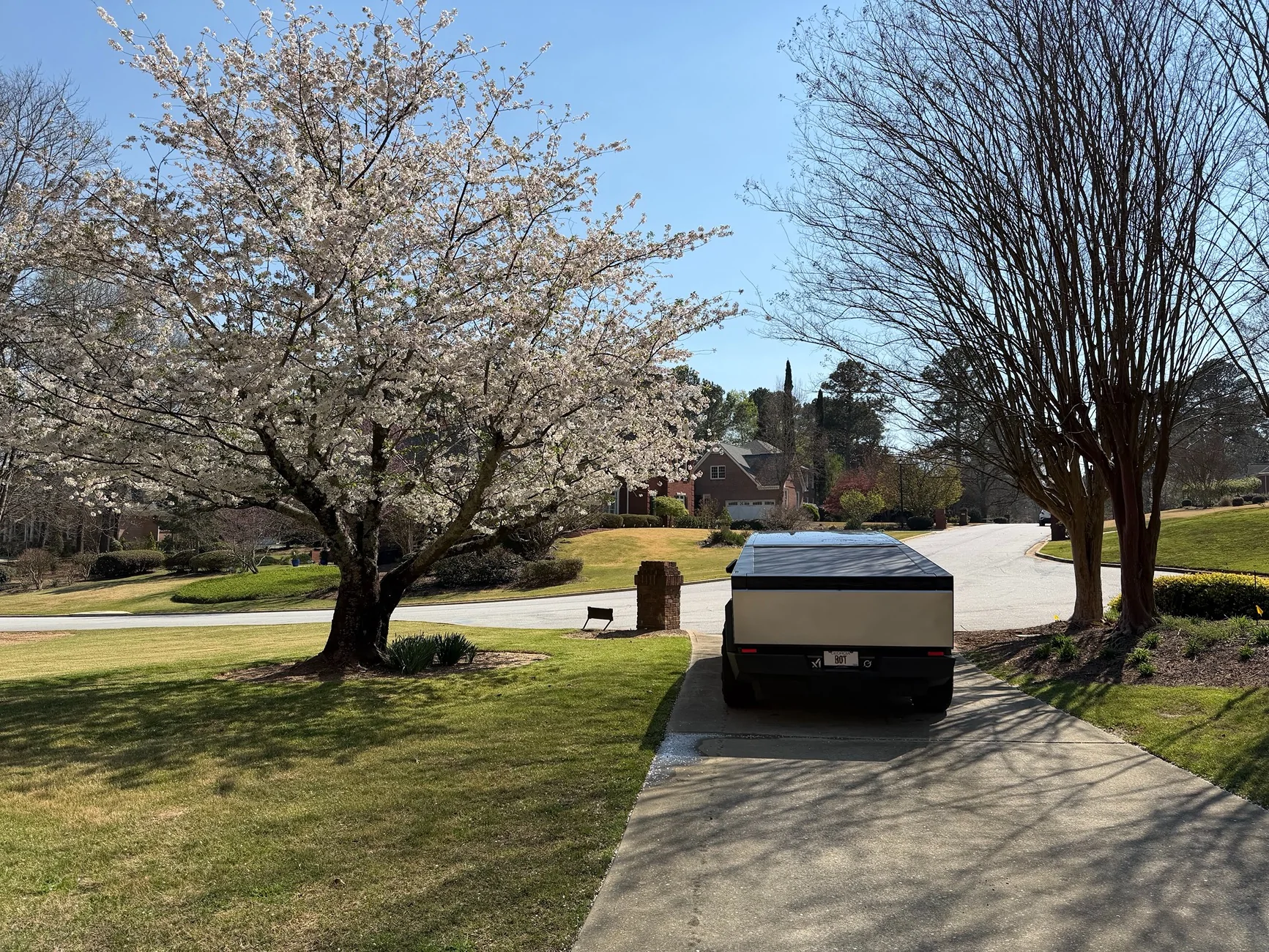 Tesla Cybertruck It's Spring! Time to show off your beautiful Cybertrucks before pollen season paints everything yellow IMG_1020