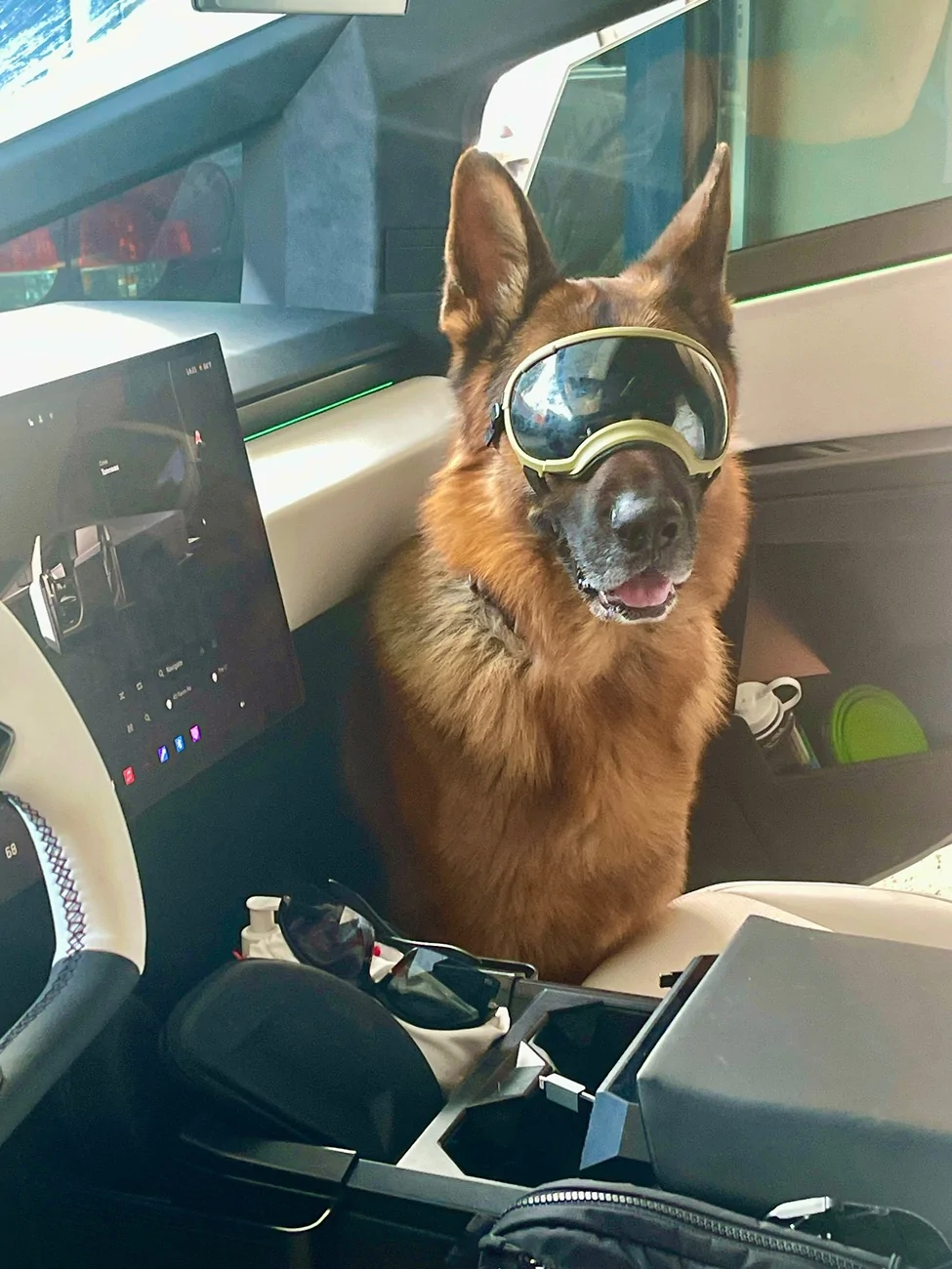 Tesla Cybertruck Dog mode warning… IMG_4797