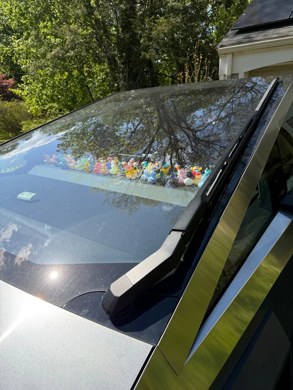 Tesla Cybertruck Jeep owners have silly ducks in the window IMG_4044