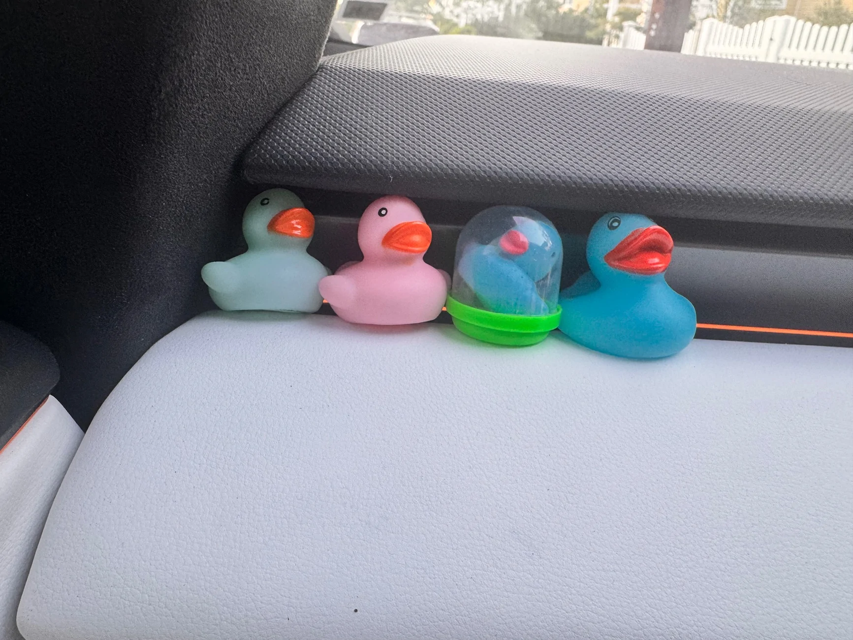 Tesla Cybertruck Jeep owners have silly ducks in the window IMG_1009