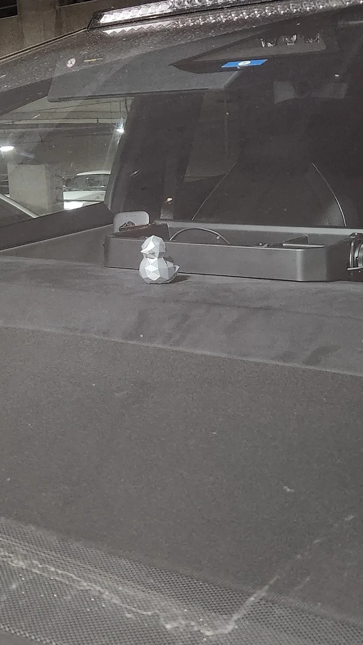 Tesla Cybertruck Jeep owners have silly ducks in the window 1000016912