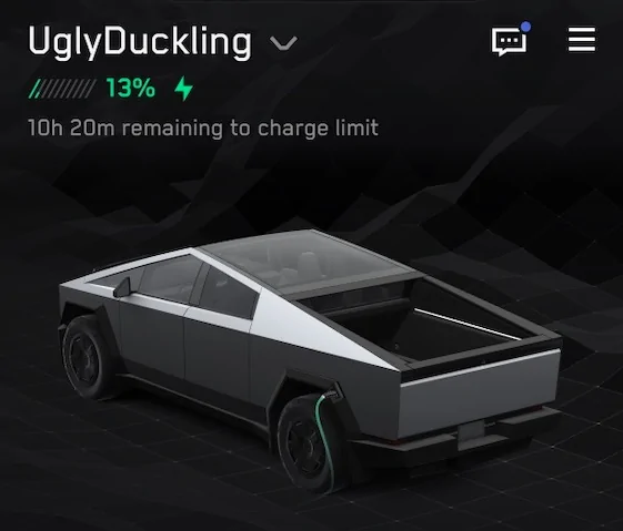 Tesla Cybertruck Jeep owners have silly ducks in the window 1778160095199-