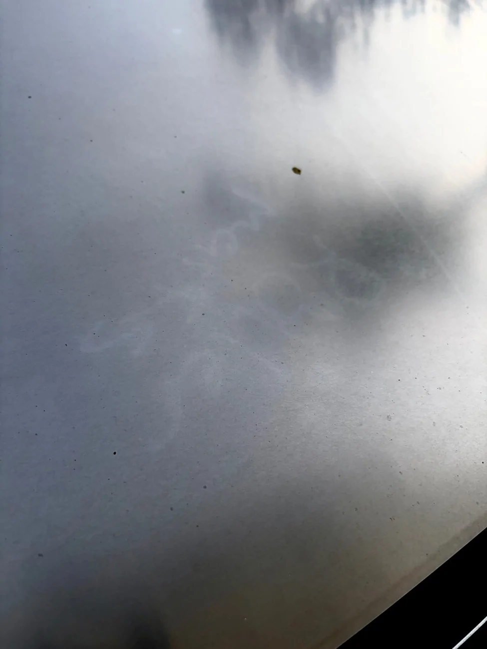 Tesla Cybertruck Vandalized hood, any idea how to get this out? [ADMIN WARNING: NO POLITICS] IMG_2070