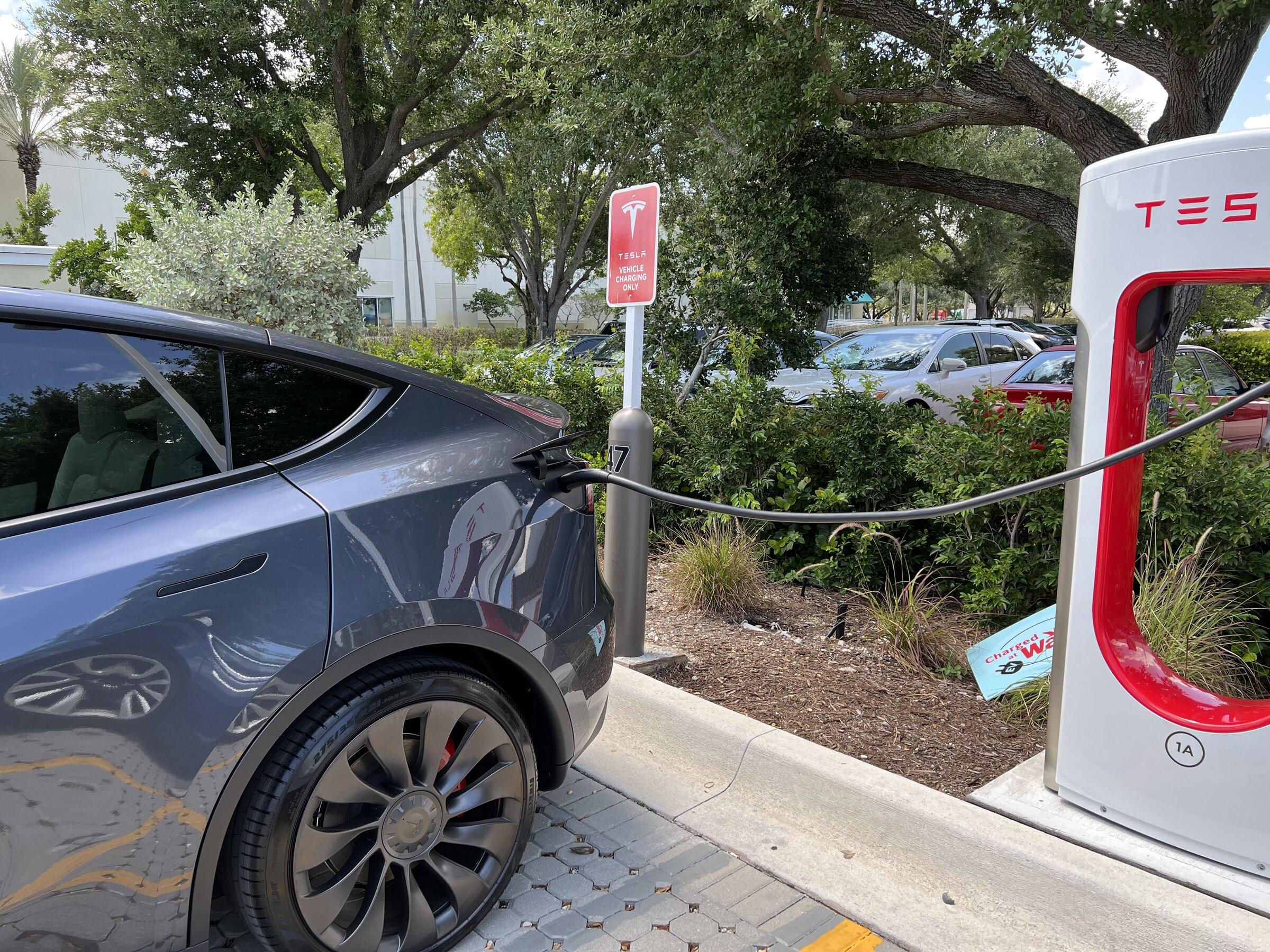 Tesla Cybertruck Taking too long... Just Ordered a Model Y. 09B96DC2-8902-44CC-9185-F2DDD889BA02