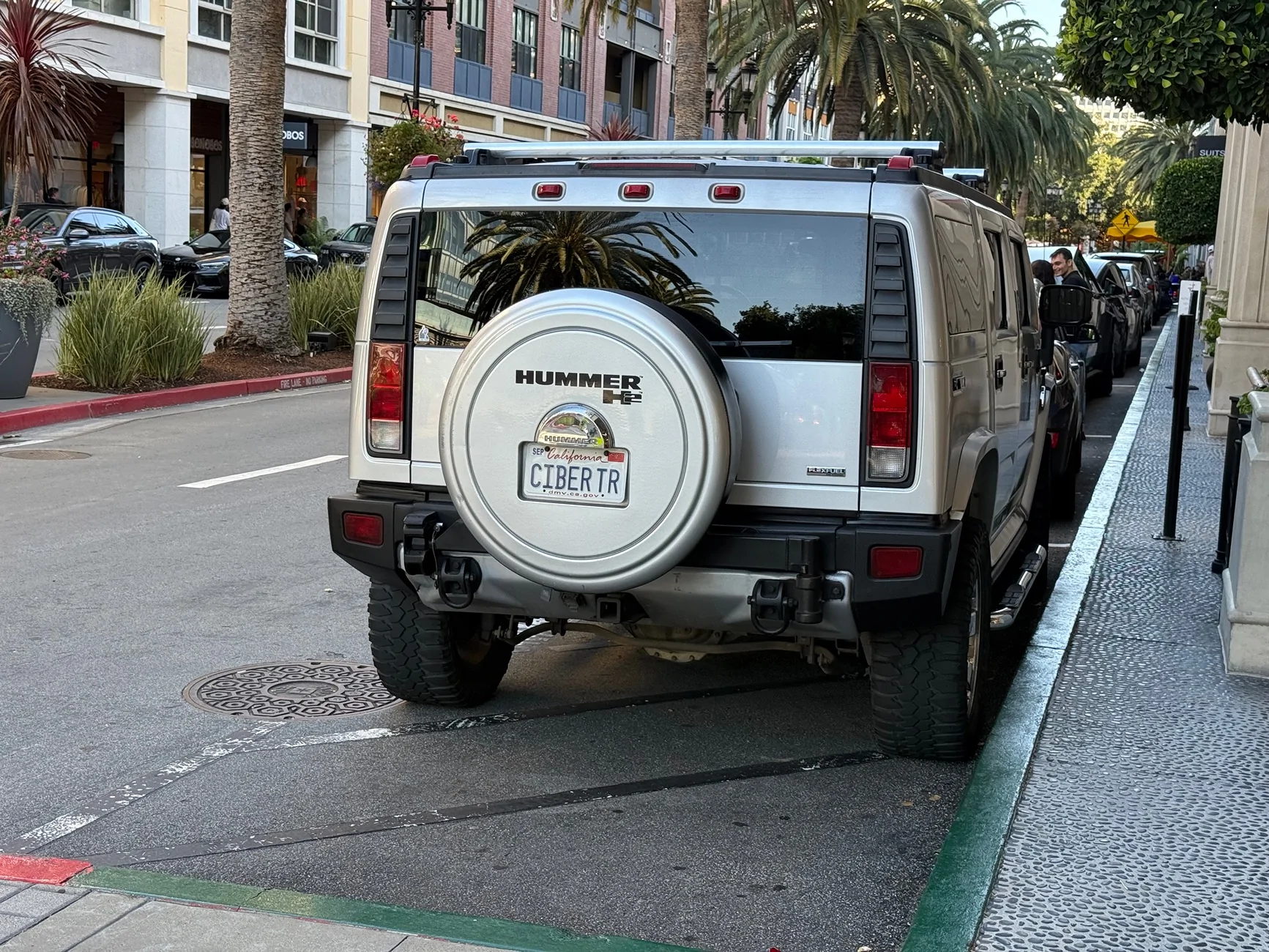 Tesla Cybertruck Custom license plate / vanity plate name for your Cybertruck? 1780547170198-ck
