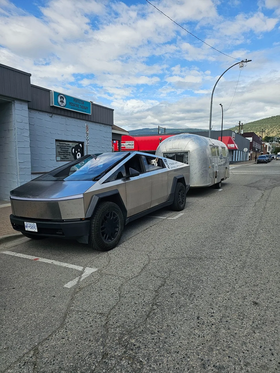Tesla Cybertruck Branding your Cybertruck yes/no 1000044271
