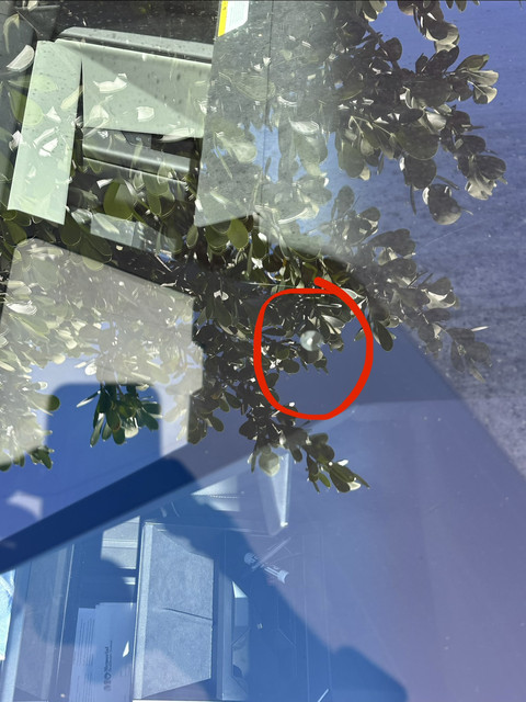Tesla Cybertruck Cannot engage FSD, something looks off on top glass IMG-2272